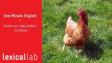 ONE-MINUTE ENGLISH: chicken out / (a) chicken / play chicken LEARN WITH LEXICAL LAB