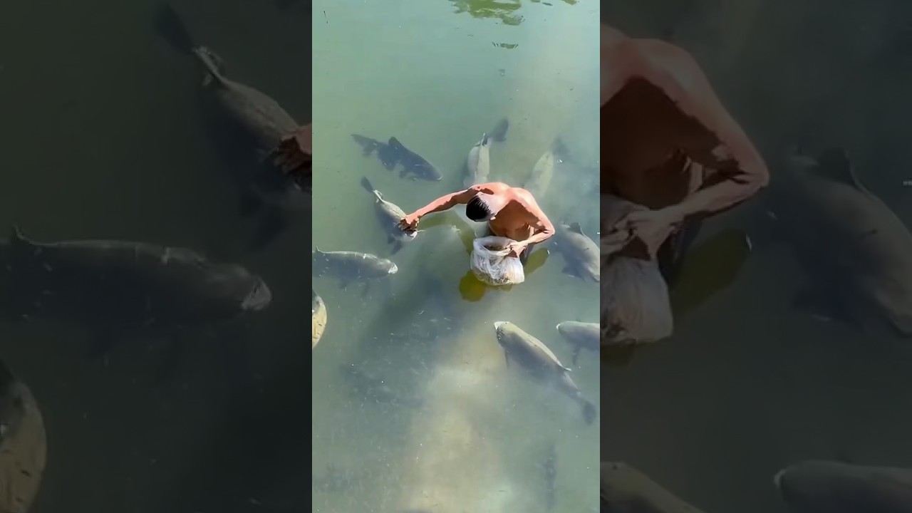 Cross-racial emotional connection 