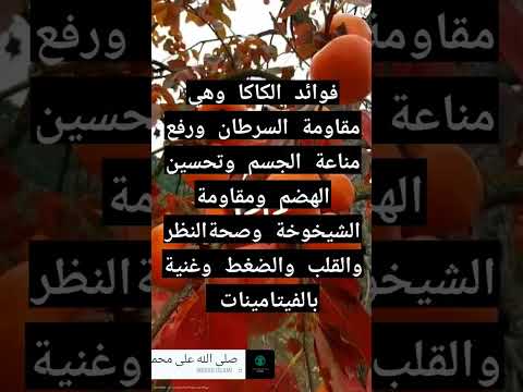 فوائد الكاكا معلومات مهمة اعشاب طبيعيه صحتك حياتك فواكه حدائق منزلية 