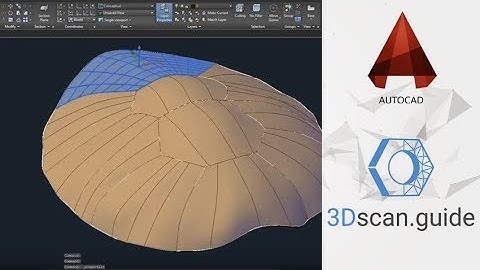 AutoCAD, video 2. Organic forms. 3D scan processing.