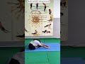 How to get relief from period cramps#shortsfeed #yoga#shorts#viral#trending #women