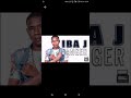 IBA J Danger 2020 mp3