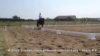 20140809 Stellar Mount Schooling Show - Level 2 Test 4 - 64.6%