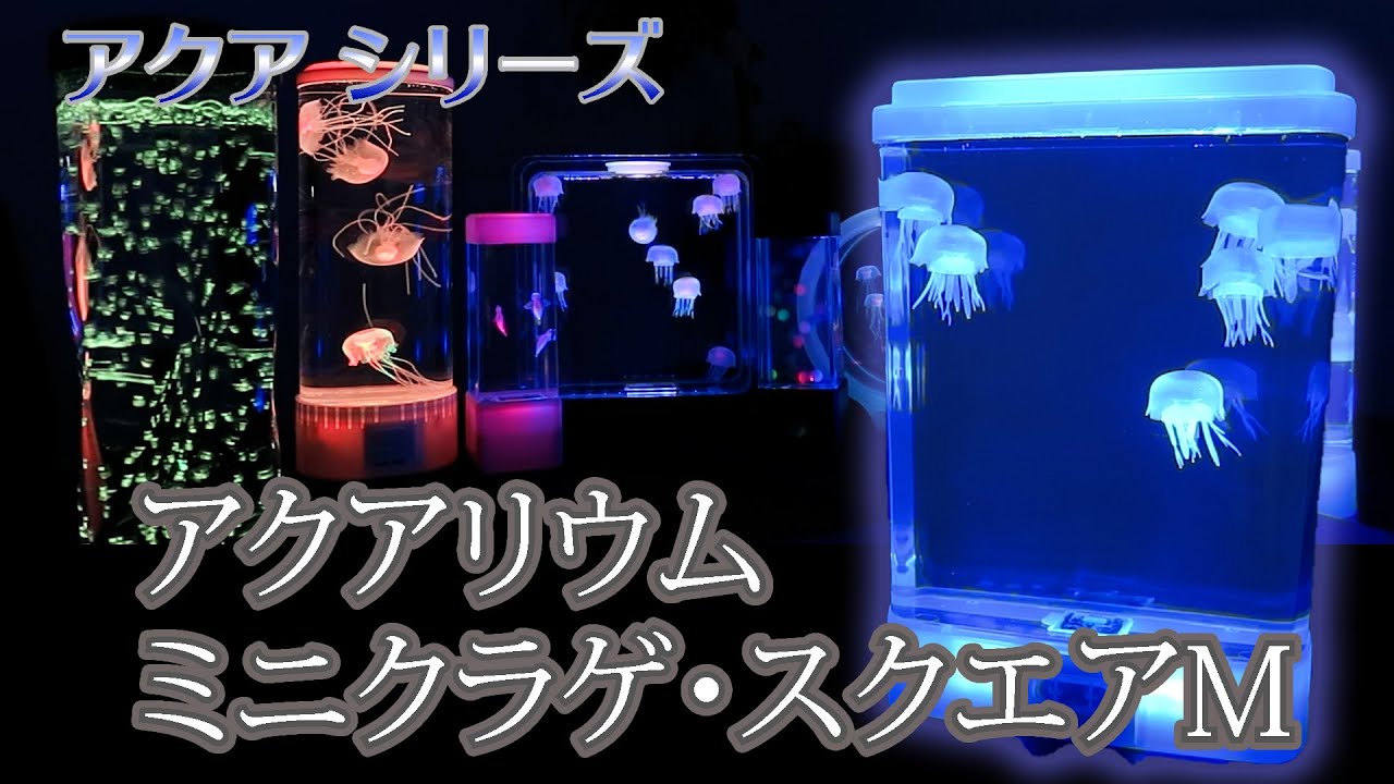 まるで深海の中で泳ぐクラゲの舞！！幻想的なシーンに見とれてしまう