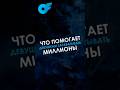 ⬆️ Именно ЭТО помогает онлифанс агентствам зарабатывать МИЛЛИОНЫ #shorts