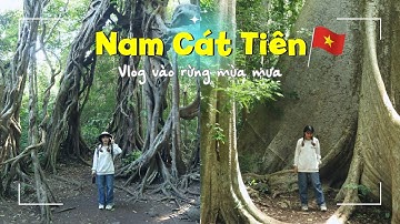 Vlog Nam Cát Tiên mùa mưa - Vào rừng nghe chim hót // Mình là Linh