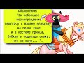 ✔️Каждая девушка ждет именно принца на белом коне.... Анекдоты с Волком.#ВГостяхУВолка