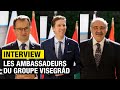 Capture de la vidéo Interview Avec Les Ambassadeurs Du Groupe Visegrád, À L'occasion De Son 30Ème Anniversaire