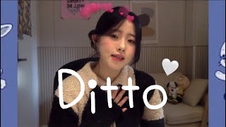 NewJeans - Ditto🤍 acoustic cover! screenshot 3