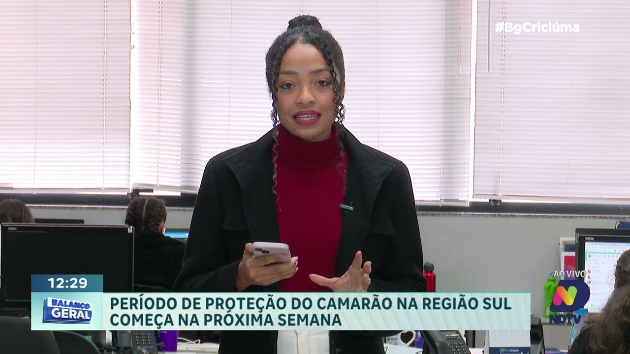 Defeso do camarão: impactos e regras que você precisa saber