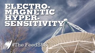 Is electromagnetic hypersensitivity real?