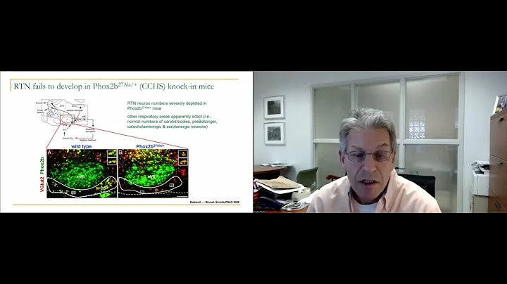 2022 Virtual Program: Dr. Douglas Bayliss - RTN neurons and PHOX2B