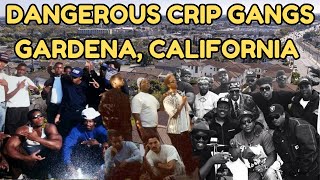 Inside Gardena California's Most Dangerous Crip Gangs: The Untold Story