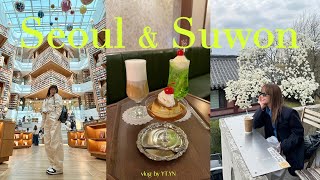 Seoul & Suwon (Starfield library, cafe hopping, restaurants, shopping)