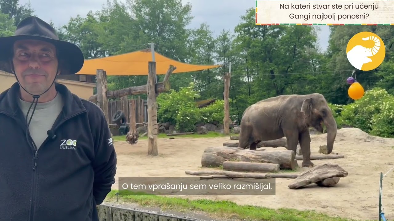 Ganga 50: Učenje 🐘📚