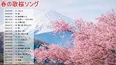 河口恭吾 桜 Youtube 河口恭吾 桜 Youtube