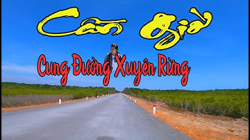 Cung đường ”Rừng Sác” Vô cùng đẹp ở Cần Giờ, Sài Gòn| Mưa Vi Vu