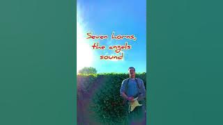 Seven stars - Peter Green (Mofoga Cover)