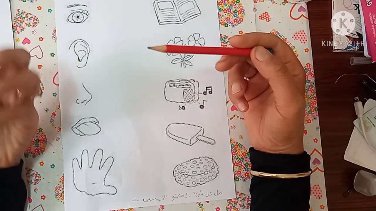 تقويم في التربية العلمية الثلاثي الأول. قسم التحضيري. classe préparatoire