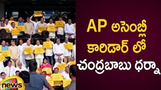 Chandrababu Naidu Protest At AP Assembly Corridor Against AP CM YS Jagan | AP Politics | Mango News