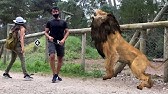 ÙÙˆØ² Ø§Ù„Ø¹ØªÙŠØ¨ÙŠ ÙˆØ²ÙˆØ¬Ù‡Ø§ Ø¹Ø§Ø±ÙŠØ§Ù† ØªÙ…Ø§Ù… Ø§ ÙÙŠ Ø§Ù„Ø¨Ø§Ù†ÙŠÙˆ ÙˆÙŠØ´Ø±Ø¨Ø§Ù† Ø§Ù„Ø­ÙƒÙˆÙ„ Youtube