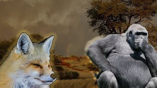 Do Animals Have a Conscious? | Are Animals Self-Aware?