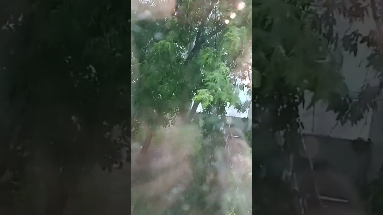 ливень и ветер даже ветка сломалась„2024. 20.06"