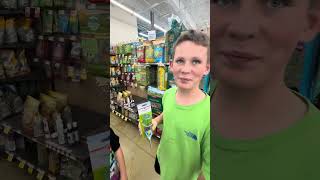 Buying a pet ferret
