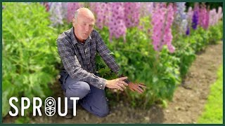 Gardening Tips for Autumn - Transform Your Garden with Color and Creativity Profile