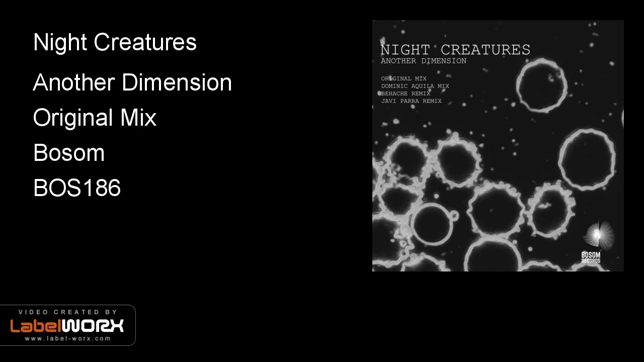 Night Creatures - Another Dimension (Original Mix) auf YouTube ansehen Night Creatures - Another Dimension (Original Mix) auf YouTube ansehen