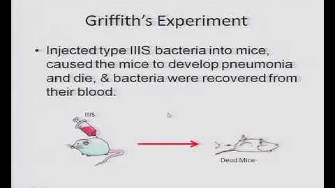 Genetics and Evolution: Molecular Basis of Inheritance - 4 (CH19)