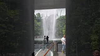 The Jewel of Singapore: Changi Airport’s Rain Vortex | Singapore #singapore #changiairport #shorts
