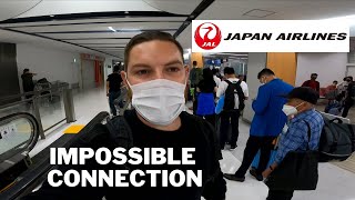 Flying JAL PREMIUM ECONOMY Over The Pacific 🇯🇵