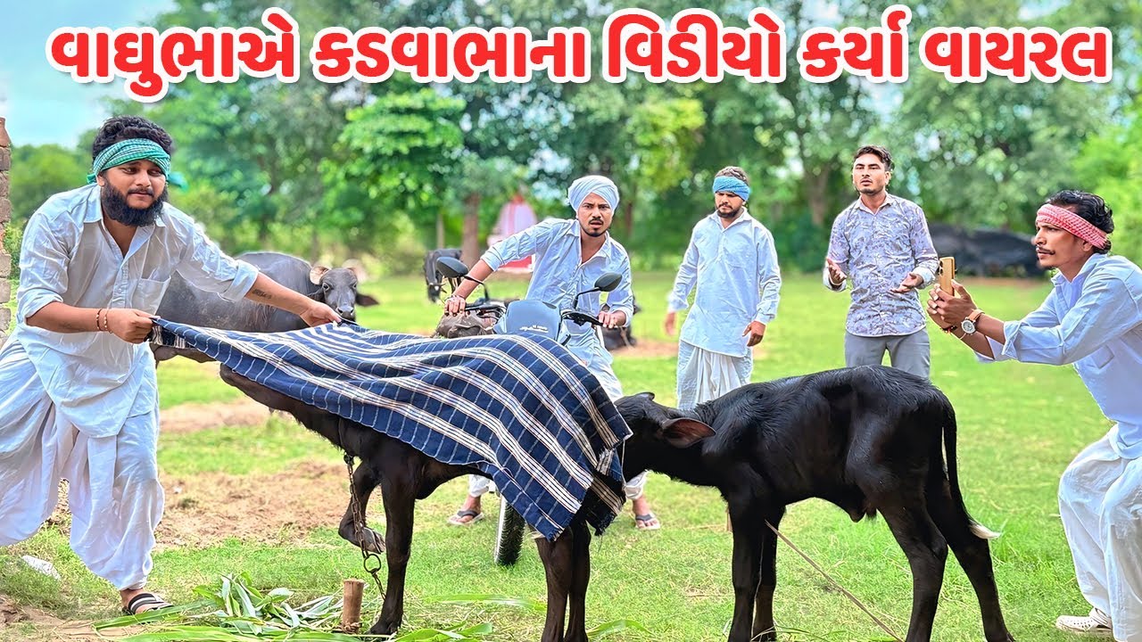 વાઘુભાએ કડવાભાના વિડીયો કર્યા વાયરલ // Gujarati Comedy Video // કોમેડી વિડિયો // Funny Desi Boys