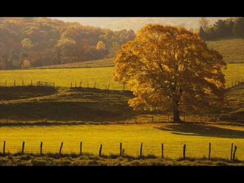 Gustav Mahler : Symphony No. 5 in C Sharp Minor