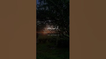 محمد المنشاوي سورة لقمان #حالات_واتس #quran