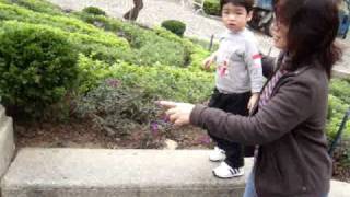MOVIE090328 1