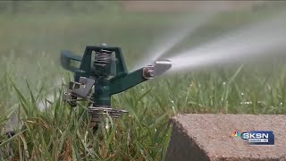 Expert offers tips for watering your yard during drought