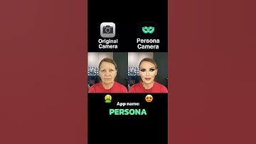 Persona app: Navigating Life