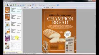 Simple Method to Gather PDF Pages with A PDF Page Master