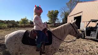 دختر پنج ساله گاو را با اسب جمع می کند - روابط عمومی پاییز کار گاو 2023