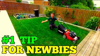 My #1 Tip for New Gardeners - Gardening Business