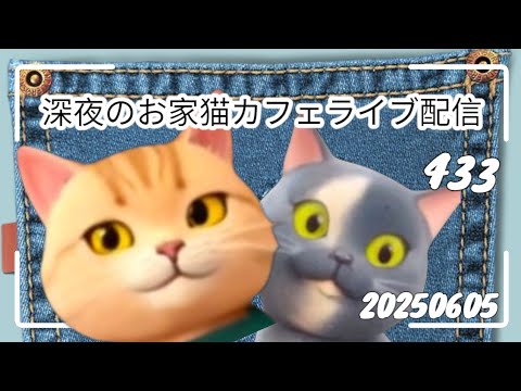 深夜のお家猫カフェライブ配信 433