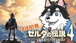 【はじめてのゼルダの伝説】＃14 そろそろお金も気にした方がいい犬の旅【BotW】