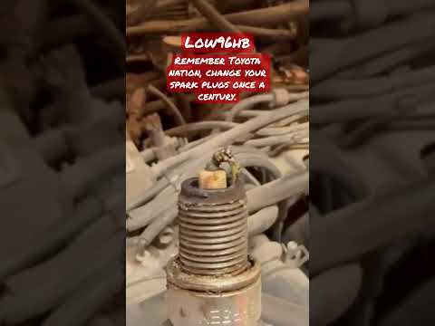 Toyota maintenance 22RE #shortsvideo #shorts #shortsfeed #toyota #diy