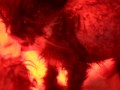 DSCN2775