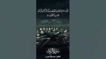 سورة الرعد | Ar-Ra‘d | آية 28 | الشيخ وديع اليمني