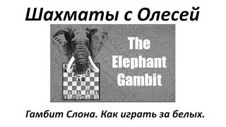Гамбит слона. Как играть за белых. Урок 56 (часть 1) Гамбит слона. Как играть за белых. Урок 56 (часть 1)