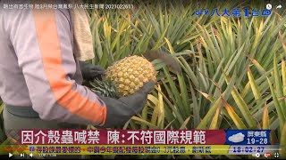 驗出有害生物 陸3月禁台灣鳳梨 八大民生新聞 2021022611