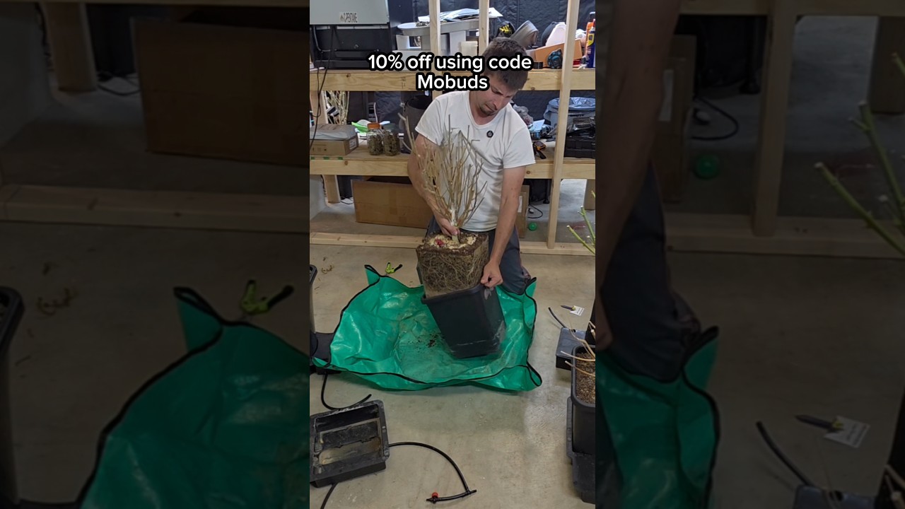 проверяем автопоты. из длинного видео @AutoPot USA 